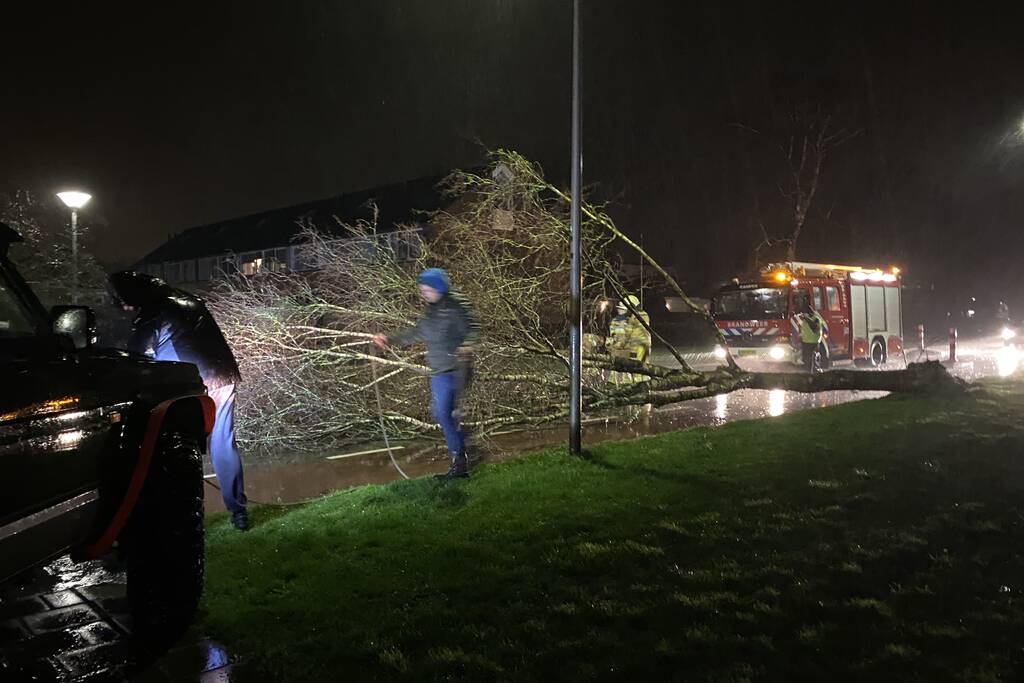 Boom met auto van de weg getrokken