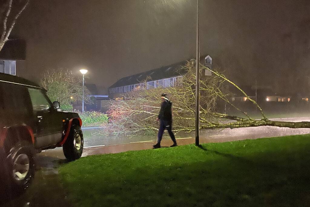 Boom met auto van de weg getrokken