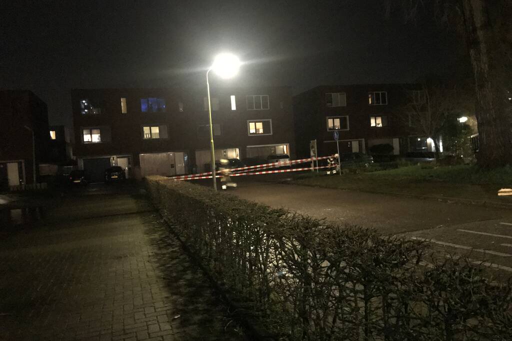 Boom staat op vallen, brandweer zet straat af