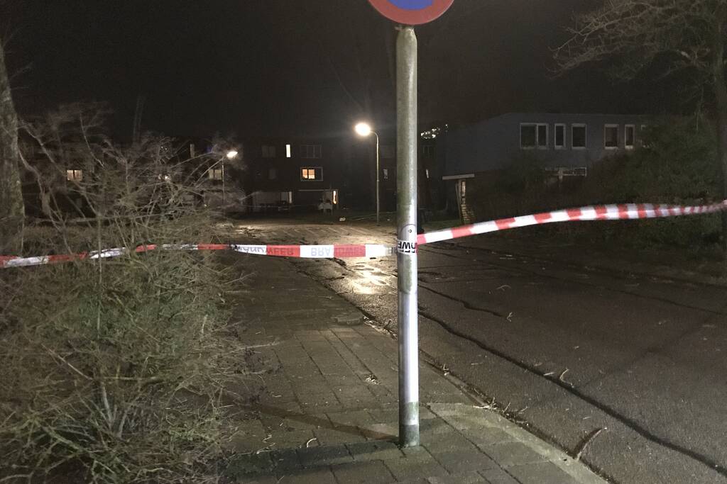 Boom staat op vallen, brandweer zet straat af