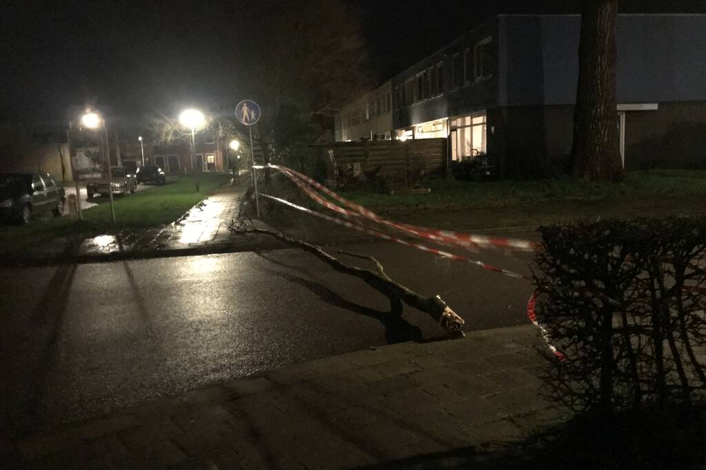 Boom staat op vallen, brandweer zet straat af