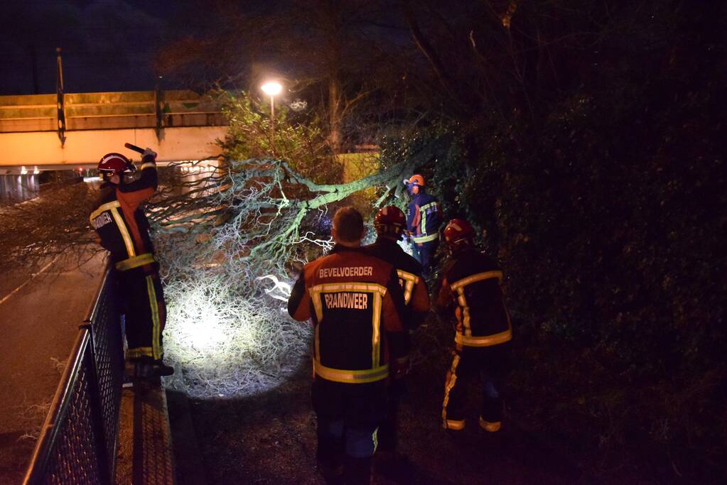 Voorbijgangers vinden omgeknakte boom op fietspad