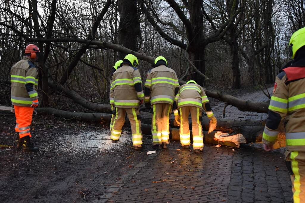 Omgewaaide boom verspert weg
