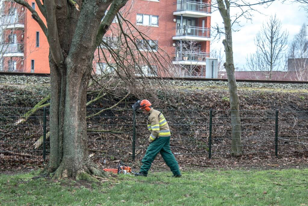 Meerdere takken op het spoor door storm Ciara