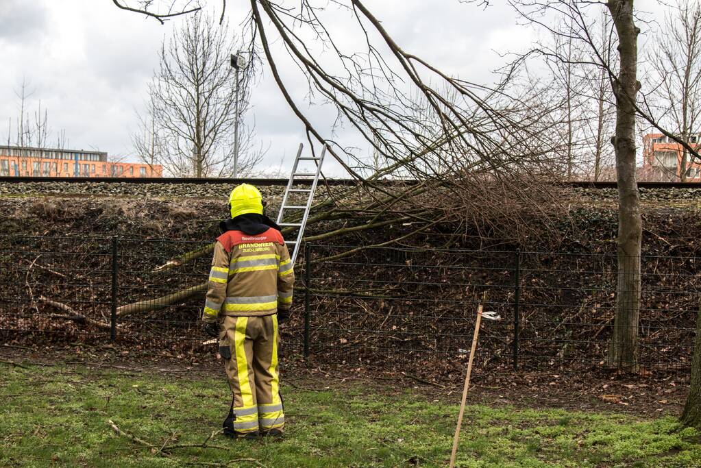 Meerdere takken op het spoor door storm Ciara