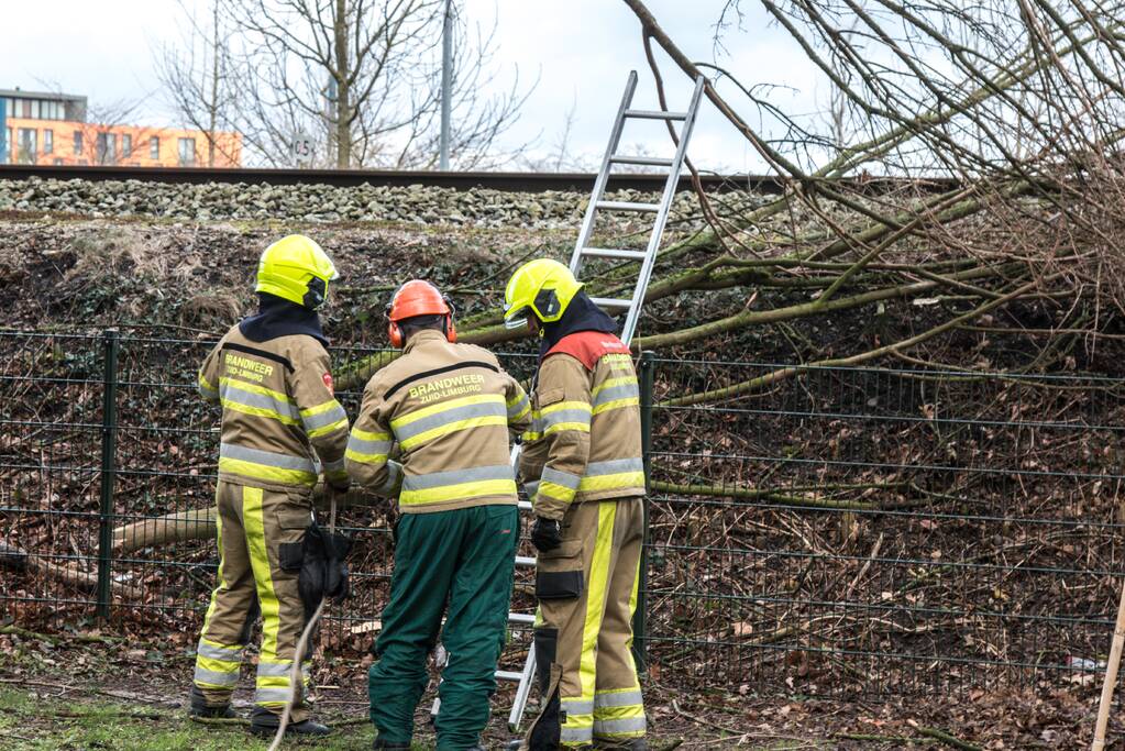 Meerdere takken op het spoor door storm Ciara