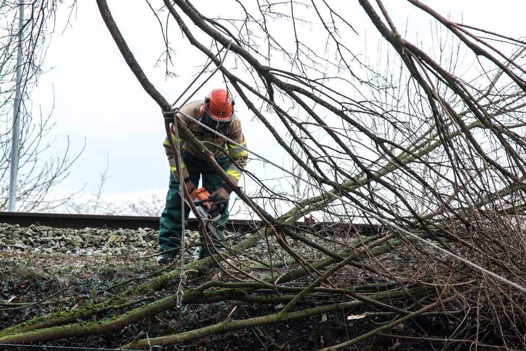 Meerdere takken op het spoor door storm Ciara