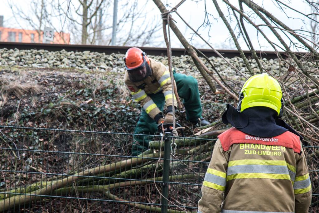 Meerdere takken op het spoor door storm Ciara