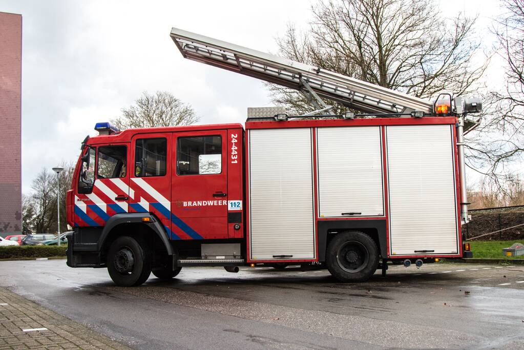 Meerdere takken op het spoor door storm Ciara