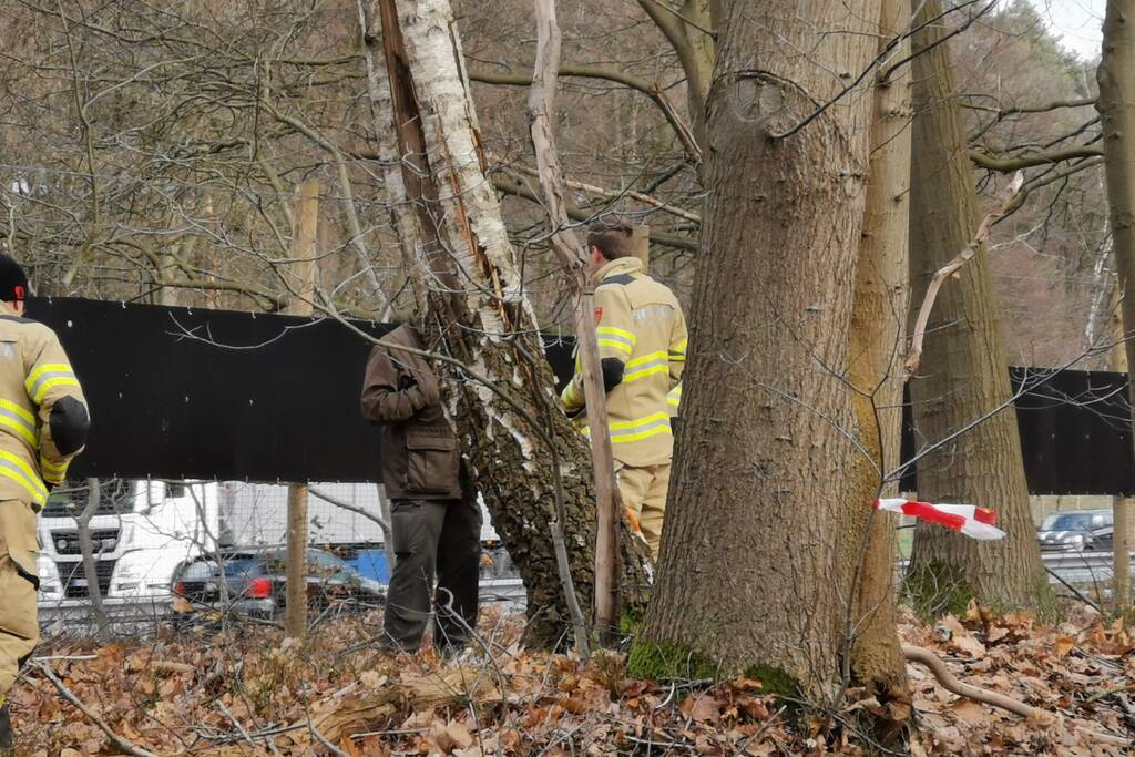 Boom dreigt op A12 te vallen