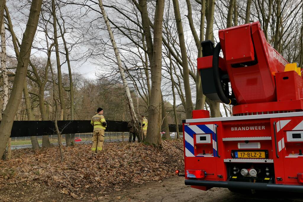 Boom dreigt op A12 te vallen