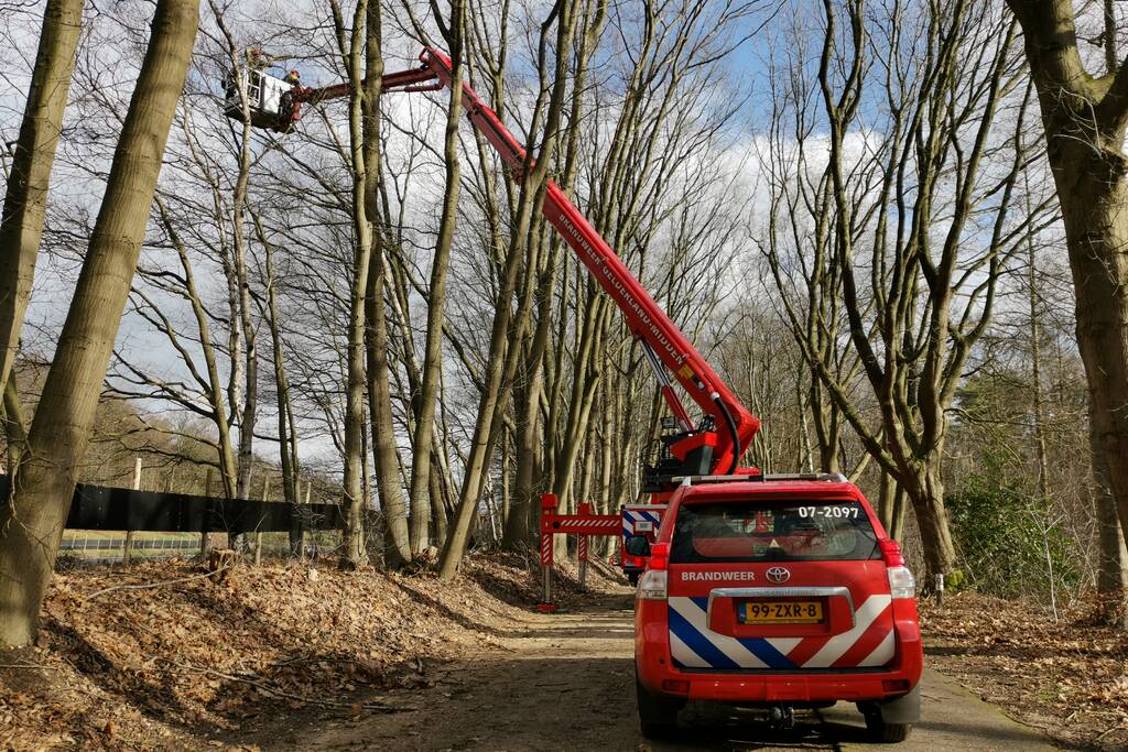 Boom dreigt op A12 te vallen