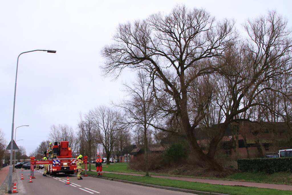 Weg afgesloten om afgebroken dikke tak