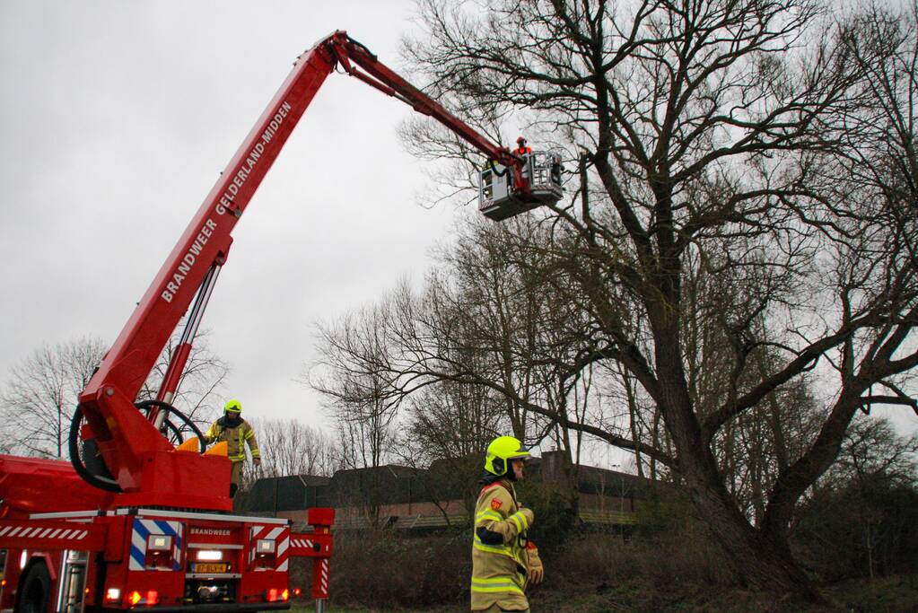 Weg afgesloten om afgebroken dikke tak