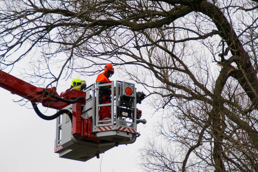 Weg afgesloten om afgebroken dikke tak