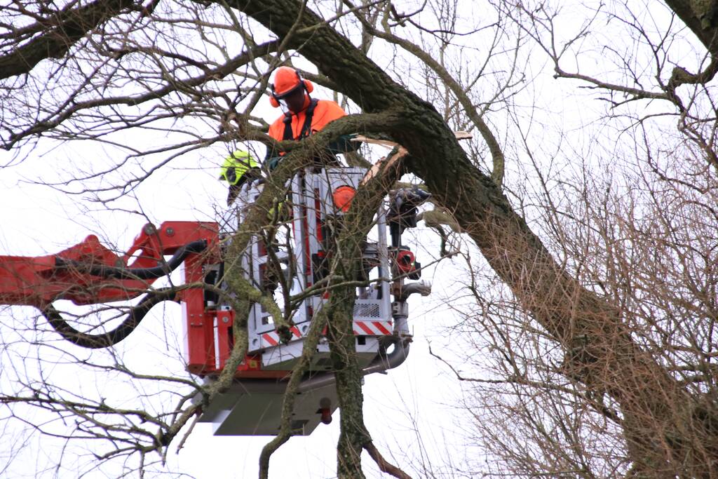 Weg afgesloten om afgebroken dikke tak