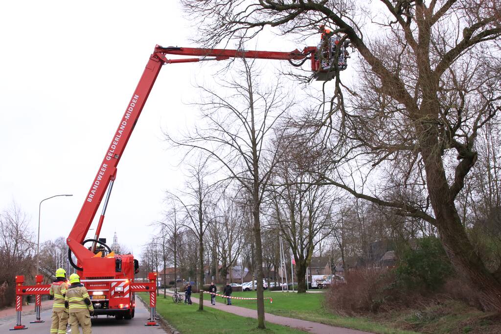 Weg afgesloten om afgebroken dikke tak