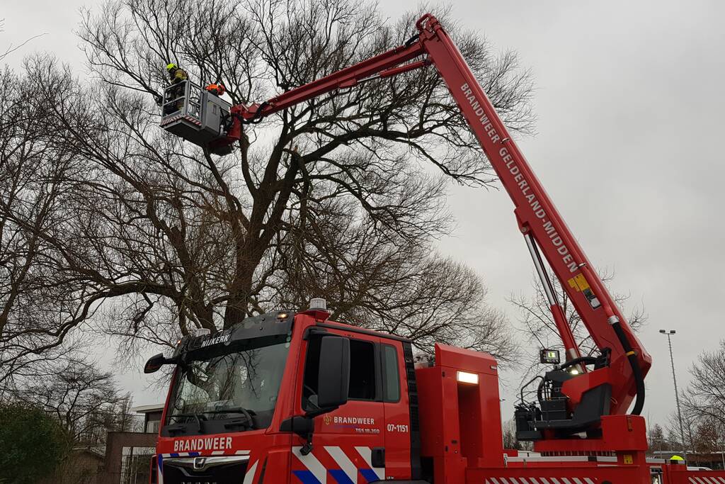 Weg afgesloten om afgebroken dikke tak