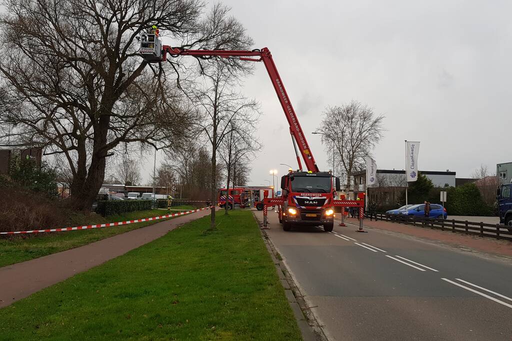 Weg afgesloten om afgebroken dikke tak