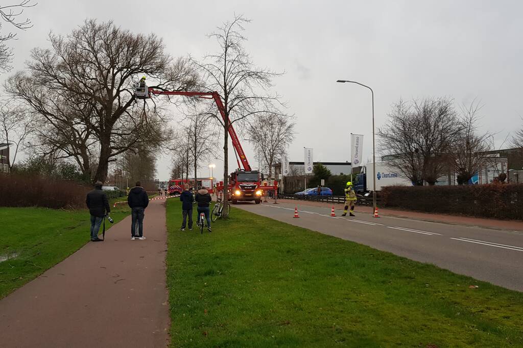 Weg afgesloten om afgebroken dikke tak