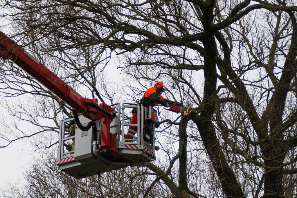 Weg afgesloten om afgebroken dikke tak