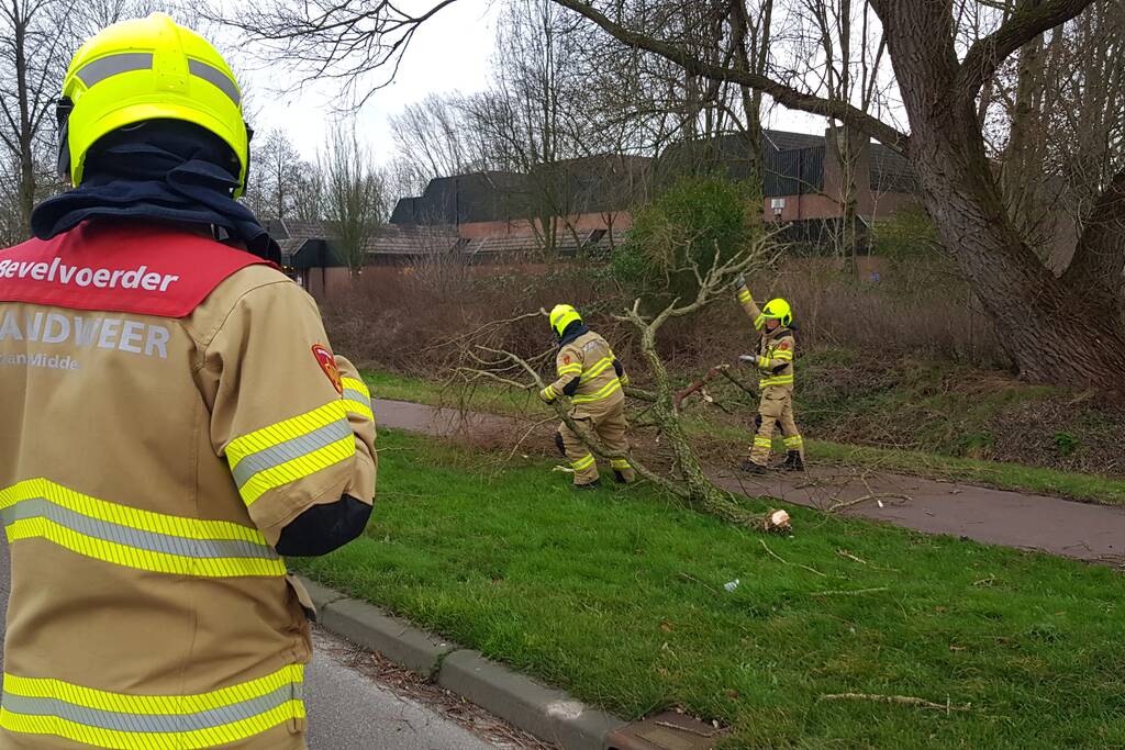 Weg afgesloten om afgebroken dikke tak