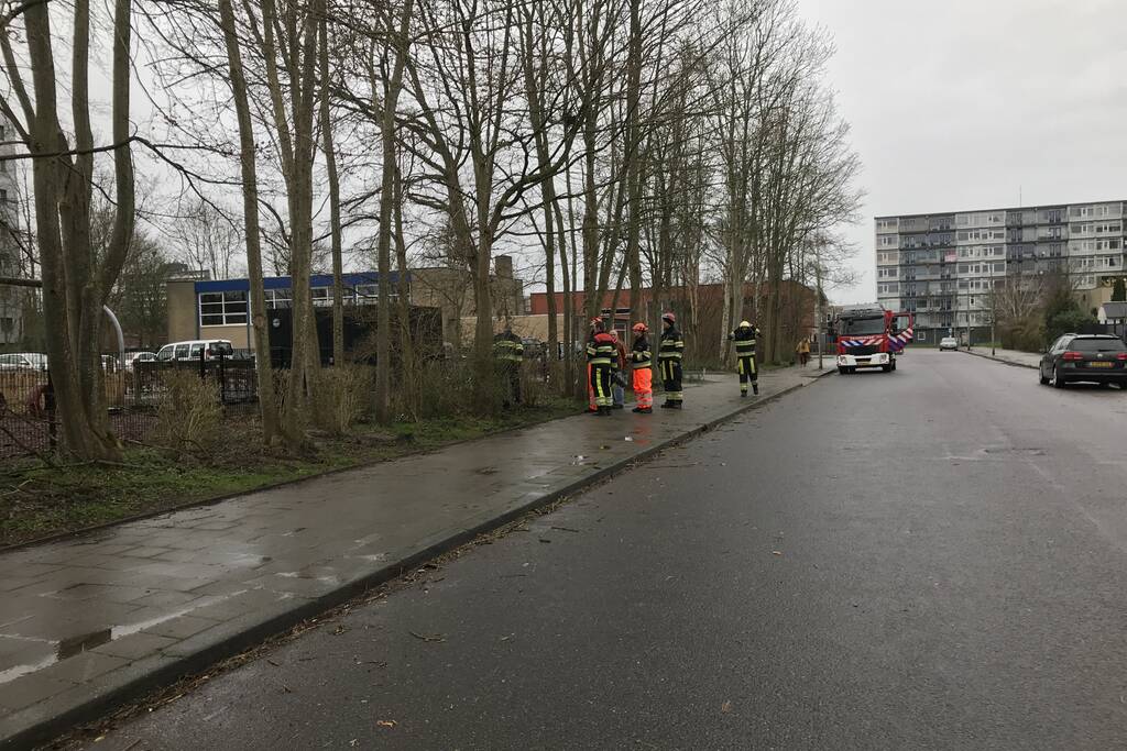 Brandweer haalt gevaarlijk hangende boom neer