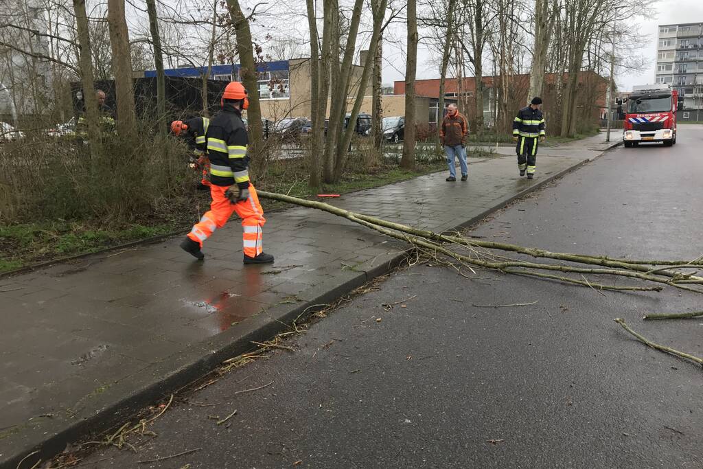 Brandweer haalt gevaarlijk hangende boom neer