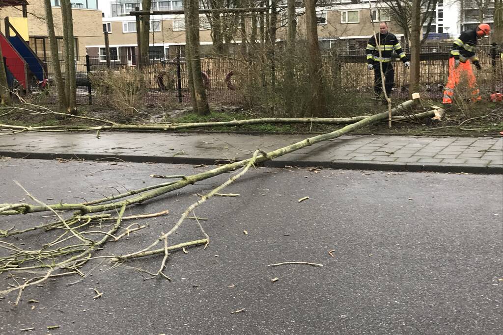 Brandweer haalt gevaarlijk hangende boom neer