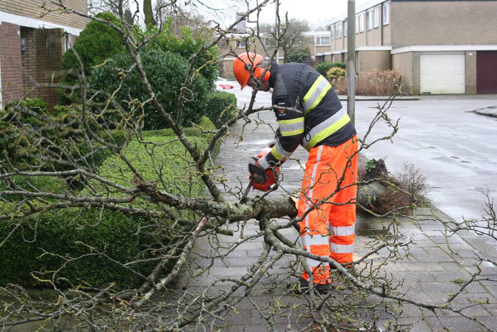 Brandweer haalt gevaarlijk hangende boom neer