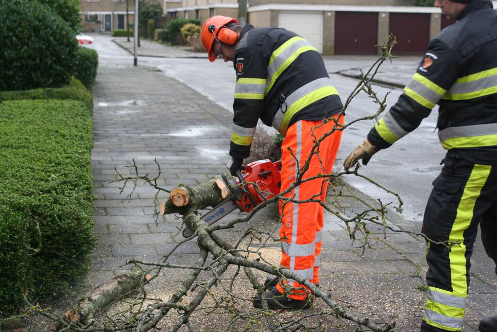 Brandweer haalt gevaarlijk hangende boom neer