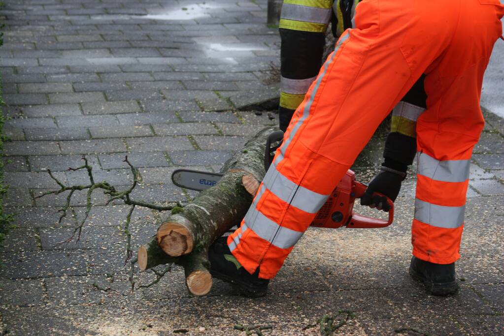 Brandweer haalt gevaarlijk hangende boom neer