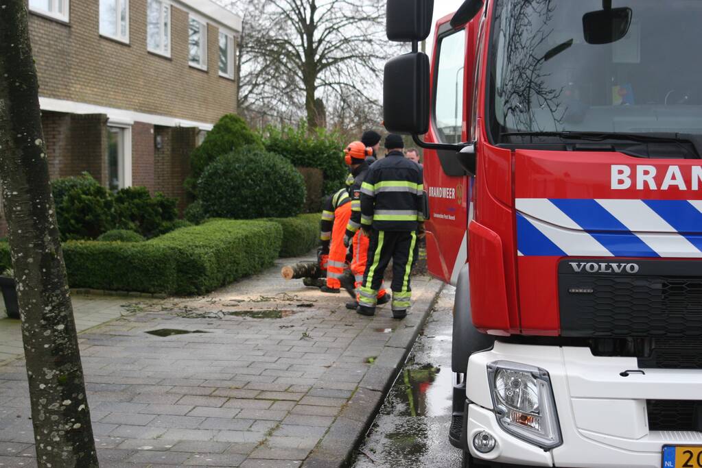 Brandweer haalt gevaarlijk hangende boom neer