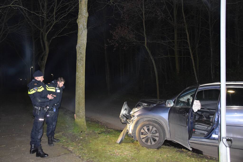 Auto botst tegen boom