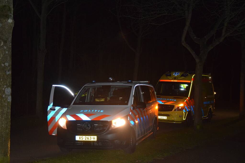 Auto botst tegen boom