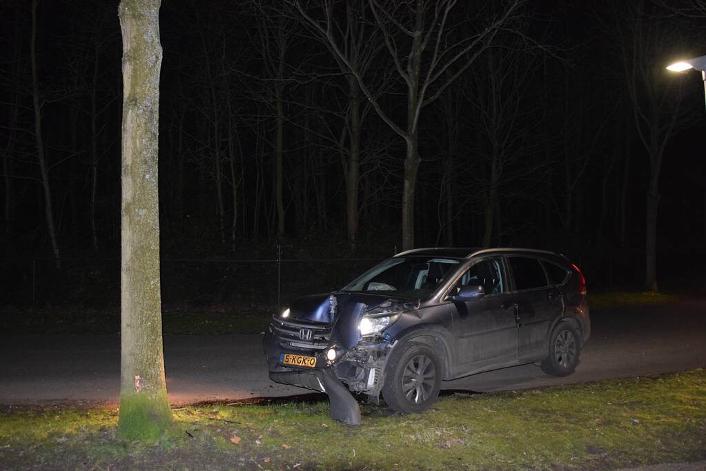Auto botst tegen boom