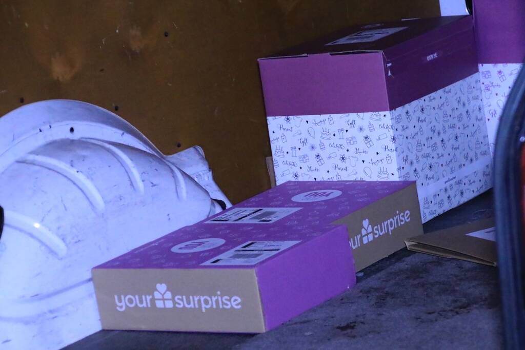 Bestelbus raakt van de weg en belandt in sloot