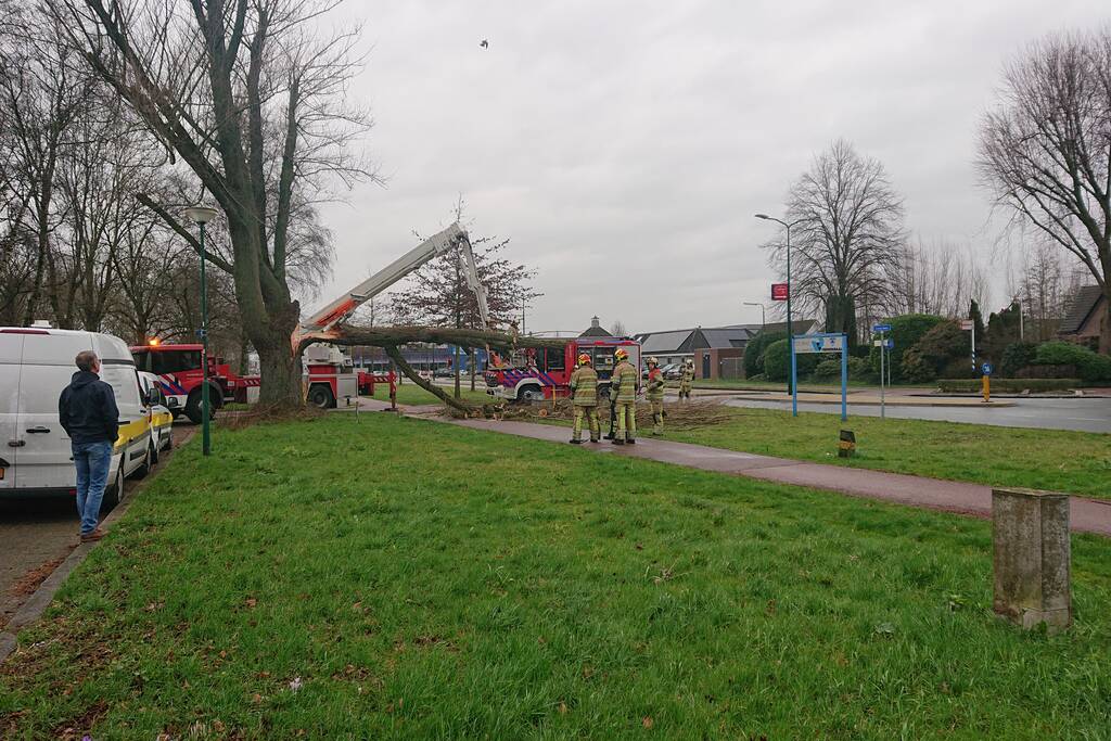 Afgebroken boom verspert fietspad