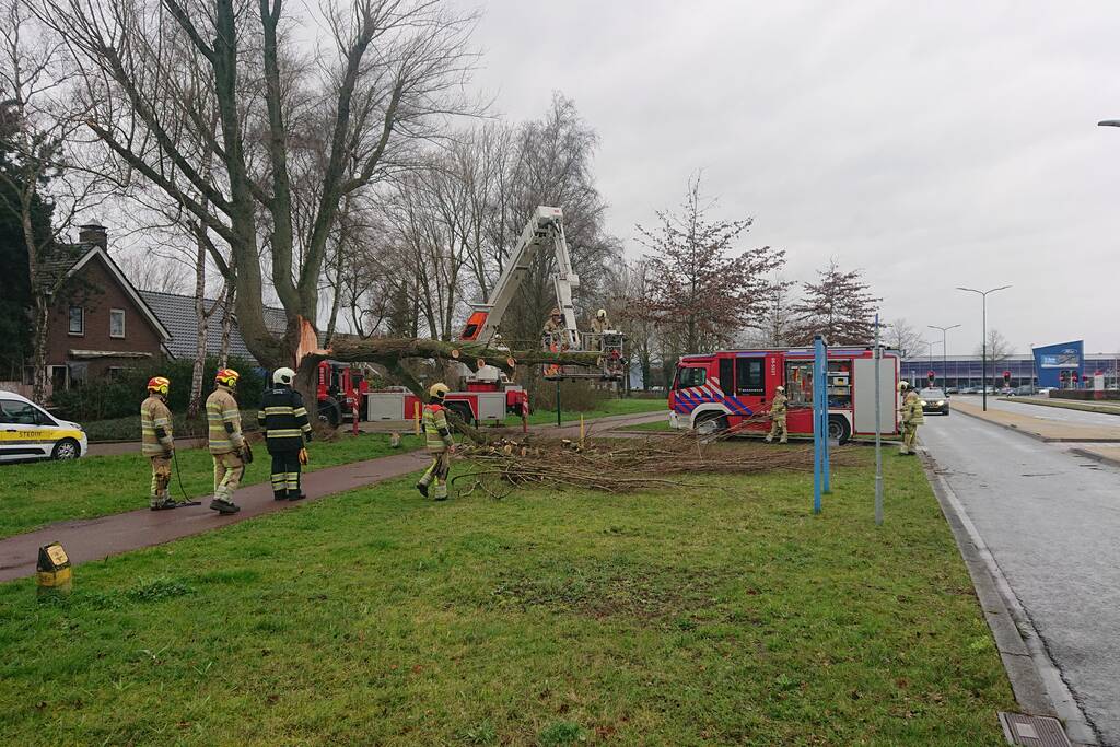 Afgebroken boom verspert fietspad