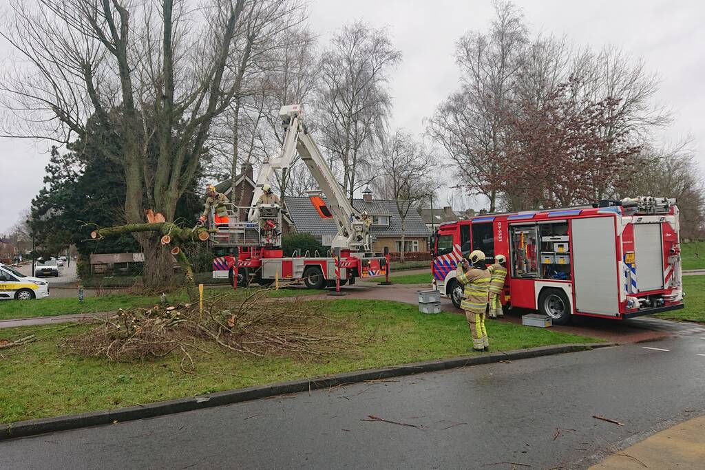 Afgebroken boom verspert fietspad