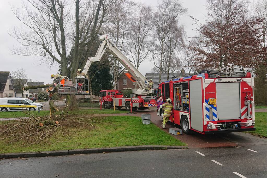Afgebroken boom verspert fietspad