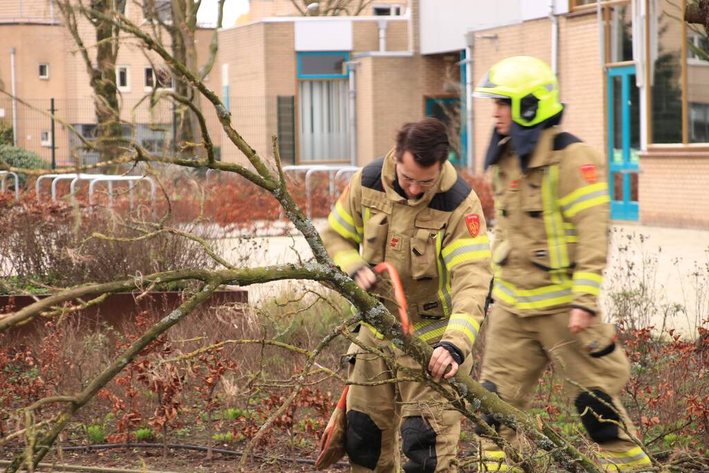 Gevaarlijk hangende tak verwijderd
