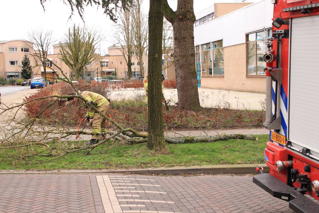 Gevaarlijk hangende tak verwijderd