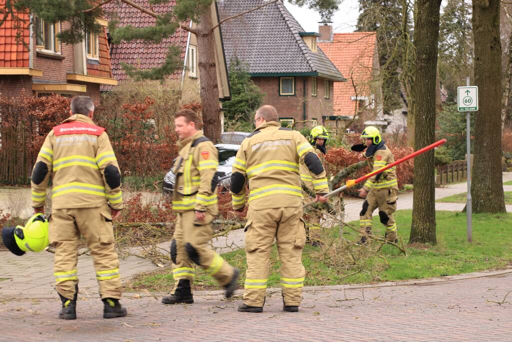 Gevaarlijk hangende tak verwijderd