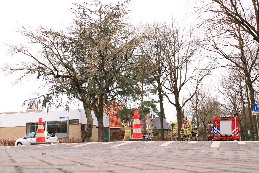 Gevaarlijk hangende tak verwijderd