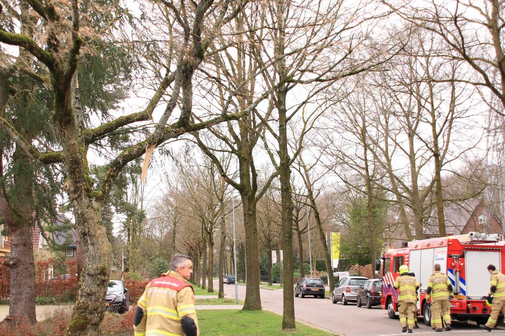 Gevaarlijk hangende tak verwijderd