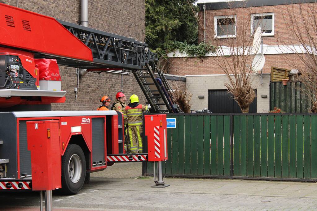 Hoge boom ingescheurd