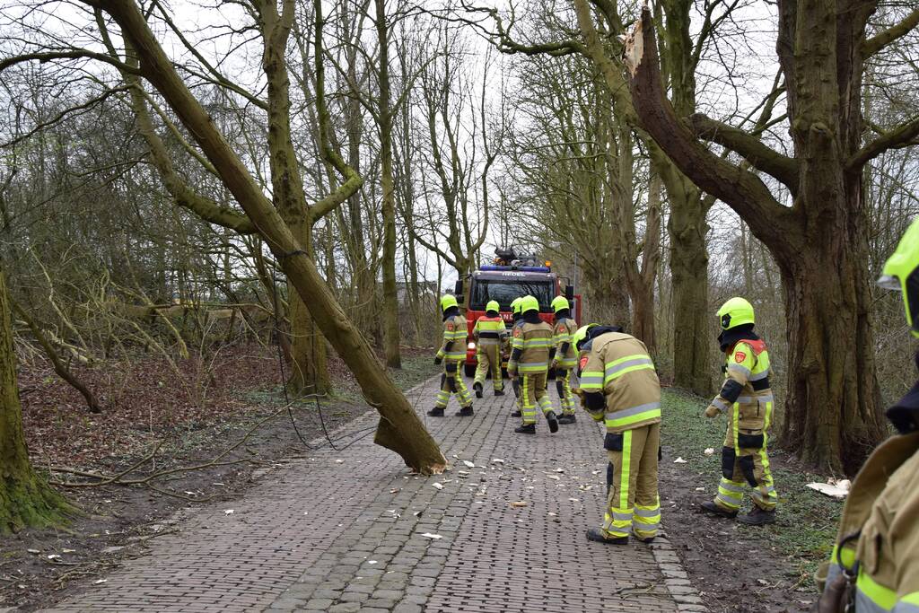 Deel van boom afgebroken door storm