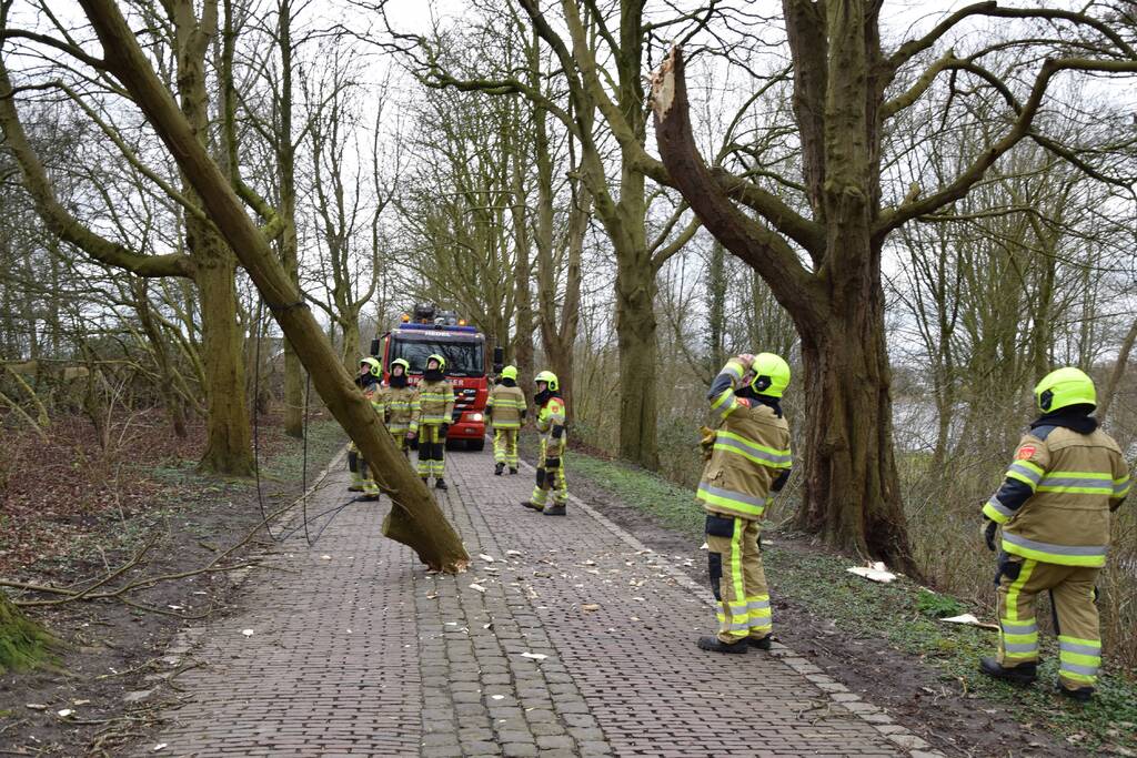 Deel van boom afgebroken door storm