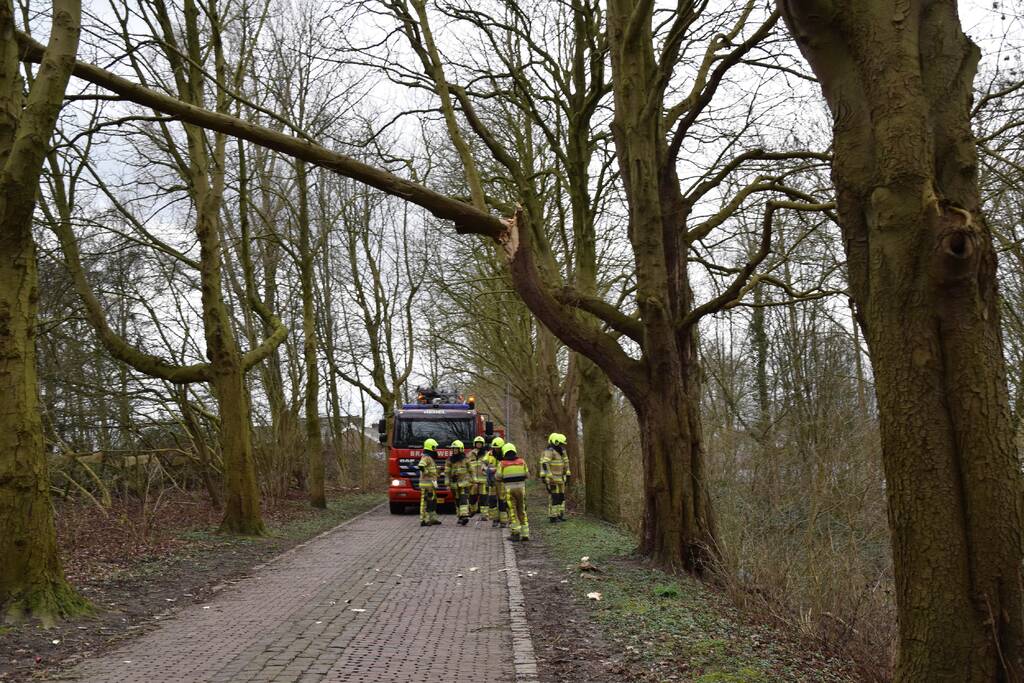 Deel van boom afgebroken door storm